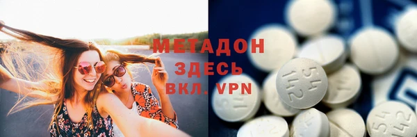 стаф Алзамай
